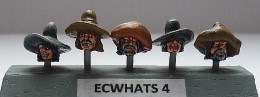 BIC-ECWHAT04 - Broad brimmed hats - wide and tall
