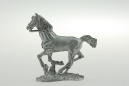 CON-H001 - Light horse galloping