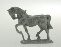 BIC-H001 - Light horse trotting