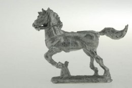 BIC-H004 - Light horse galloping