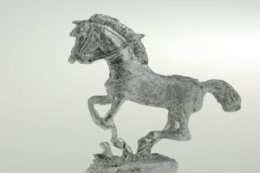 BIC-H020 - Light horse galloping, full stretch, gathering in