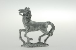 CON-H002 - Light horse galloping