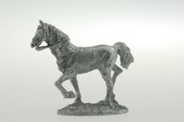 CON-H004 - Light horse walking