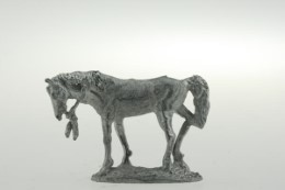 CON-H008 - Indian pony standing