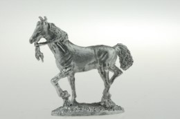 CON-H009 - Indian pony trotting