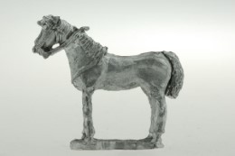 CON-H031 - Medium horse standing