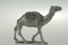 CON-HC004 - Dervish Camel, Walking