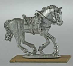 BIC-ECWH002 - Horse trotting