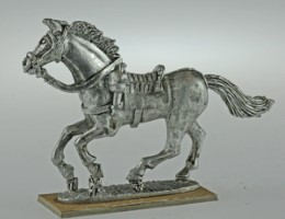 BIC-ECWH007 - Horse galloping