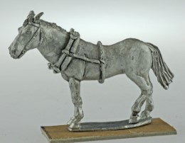 BIC-ECWH009 - Limber horse standing