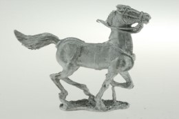 FLM-H002 - Galloping, head up