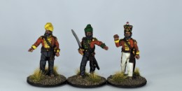 SWS2 Sikh Officers 2